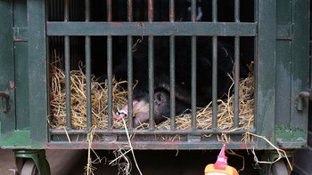 Xuan y Mo fueron trasladados