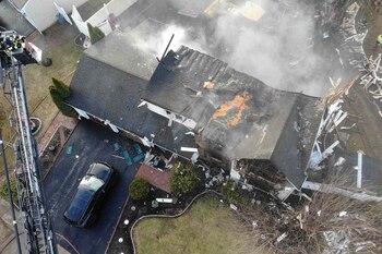 Dos perros que se encontraban