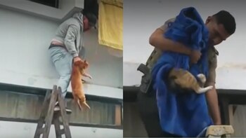 Serenos, policías y bomberos contribuyeron