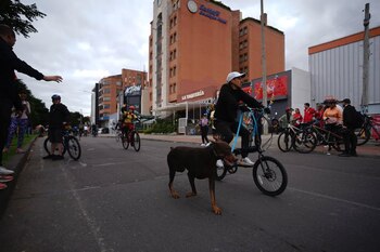 También se adicionarán puntos de