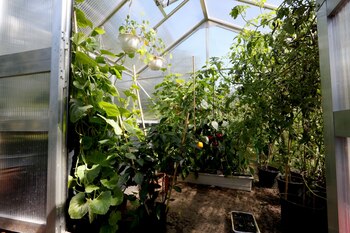 ARCHIVO - Los organismos beneficiosos