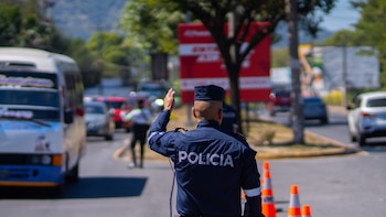 El crecimiento sostenido del parque