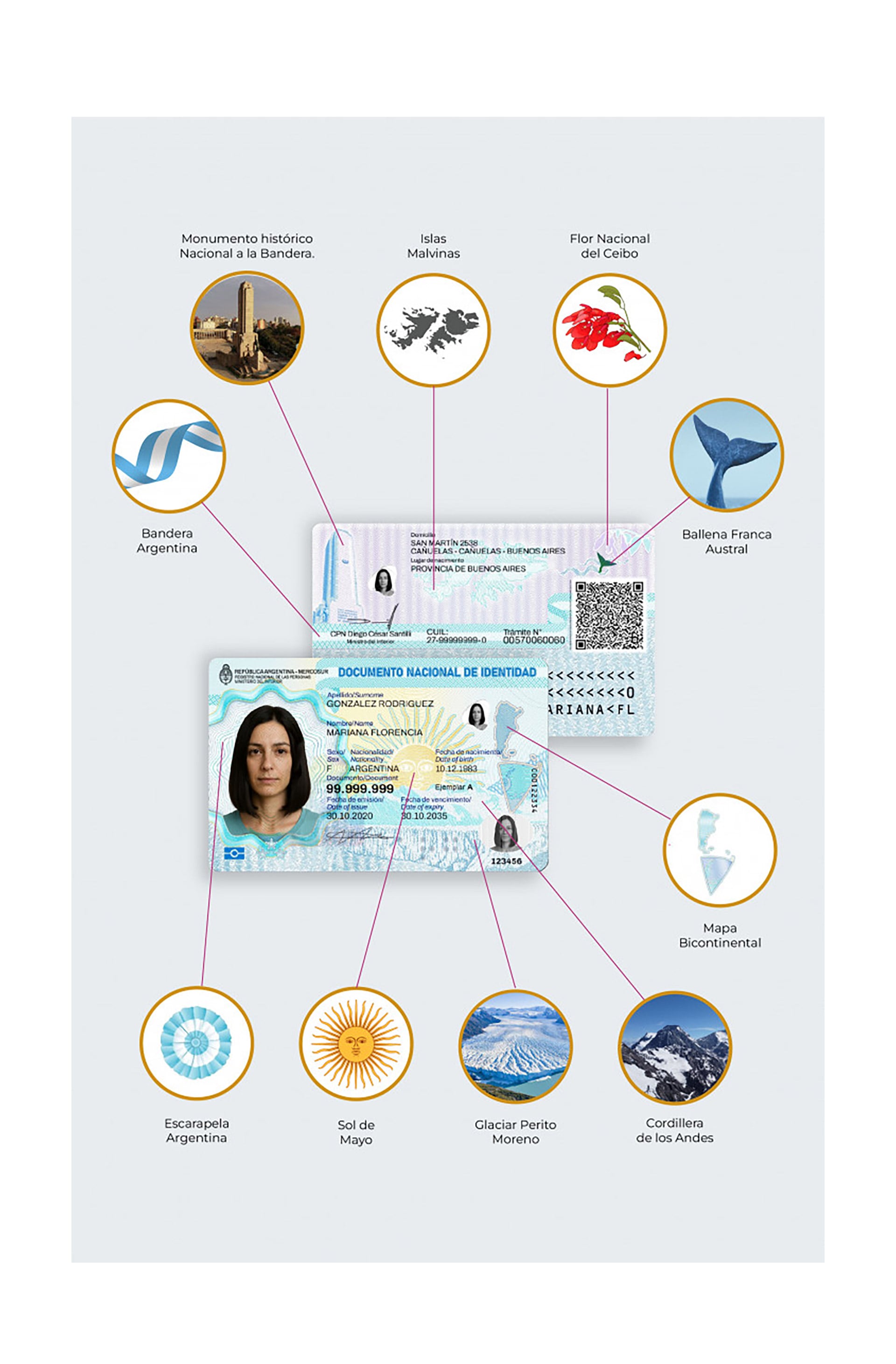 Los símbolos patrios agregados al nuevo DNI argentino (RENAPER)