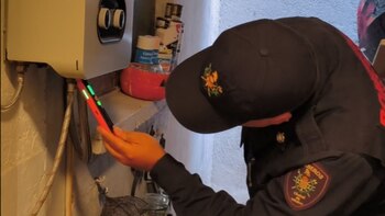 CDMX: así se puede obtener