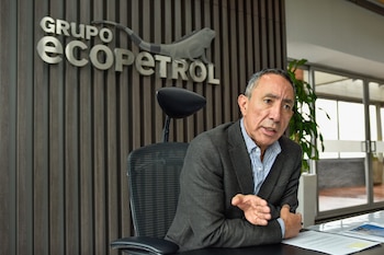 Desde la llegada de Ricardo