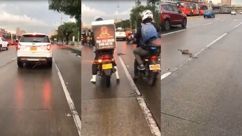 Video: bogotanos registraron la aparición