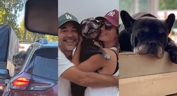 Murió Moro, el perro de 15 años de Paula Chaves y Pedro Alfonso: “El principio de esta familia”