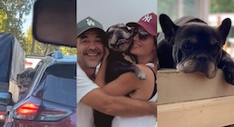 Murió Moro, el perro de 15 años de Paula Chaves y Pedro Alfonso: “El principio de esta familia”