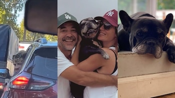 Murió Moro, el perro de 15 años de Paula Chaves y Pedro Alfonso: “El principio de esta familia”