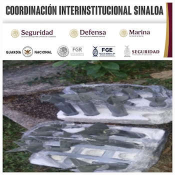 Explosivos caseros asegurados e inhabilitados