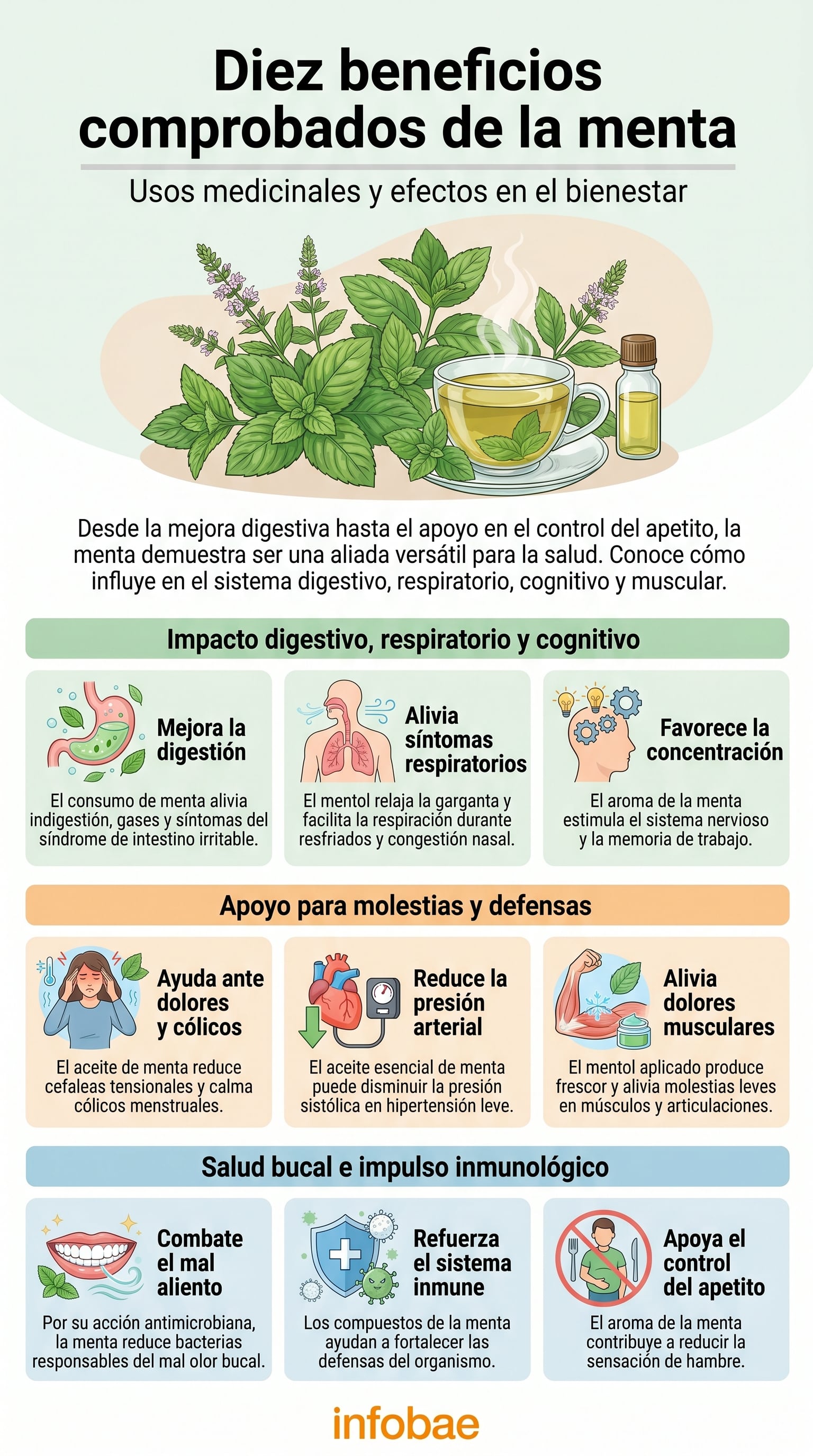 Esta infografía detalla diez beneficios comprobados de la menta, cubriendo sus usos medicinales y efectos positivos en la digestión, respiración, cognición, alivio de dolores y apoyo inmunológico (Imagen Ilustrativa Infobae)