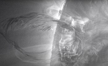 Erupción solar (NASA/MARA JOHNSON-GROH/HALEY REED)