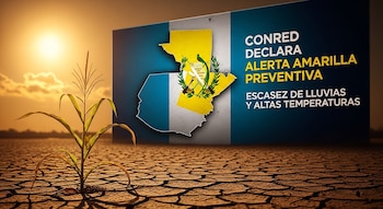 Un pequeño maizal verde crece sobre tierra agrietada y seca bajo un sol intenso, con un cartel digital que anuncia la alerta amarilla en Guatemala.