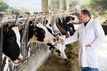 Esta medida busca asegurar que