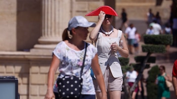 Científicos alertan de que la exposición al calor durante el embarazo afecta al desarrollo cerebral infantil