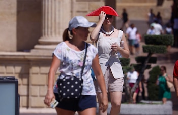 España está a las puertas de la segunda ola de calor del verano y los expertos avisan de los riesgos de salud a los que se exponen las mascotas si no se toman medidas de protección suficientes y qué síntomas serían preocupantes y requerirían atención veterinaria: desde el jadeo excesivo y dificultad para respirar, hasta la debilidad, el tambaleo o la desorientación. Otras señales también de alerta serían además, las encías muy enrojecidas o pálidas, los vómitos, la diarrea o la salivación excesiva.