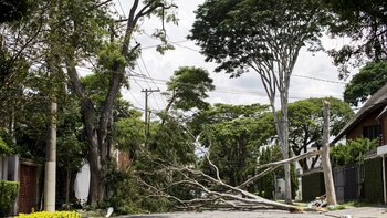 Un estudio avisa del alto