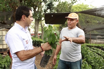 Productores, exportadores y hasta viveristas