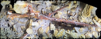 Arqueólogos de la Subdirección de Arqueología Subacuática realizaron levantamiento fotogramétrico de un fusil y un cañón de la Guerra de Castas. Foto G. García, SAS