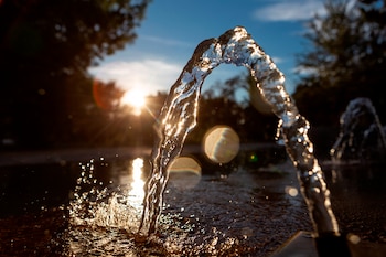 Las empresas que invierten en