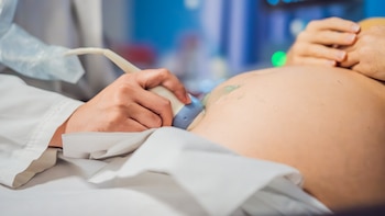 Descubren las causas genéticas de