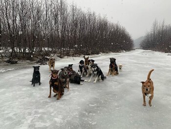 Los papás de Mo eran