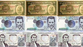 El número de ejemplares en