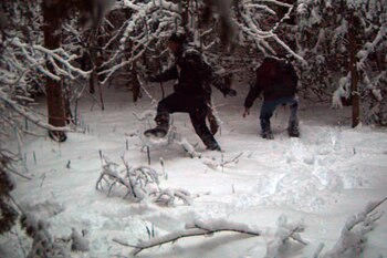 En esta fotografía de una cámara de vigilancia proporcionada por la Patrulla Fronteriza de Estados Unidos, sector Swanton, dos individuos cruzan ilegalmente la frontera con Canadá en enero de 2023, en el sector de vigilancia de Vermont, Nueva Hampshire y Nueva York (AP, archivo)