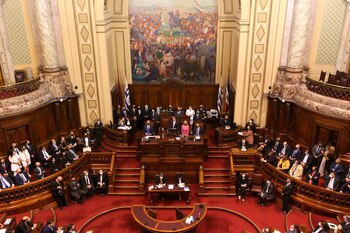 Una diputada del Frente Amplio