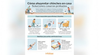 Infografía con ilustraciones de personas aspirando, lavando ropa, limpiando con vapor y sellando grietas. Presenta texto sobre cómo eliminar chinches.