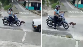 Indignación por video de una mujer que abandonó a su perro en una vía de Dosquebradas tras llevarlo amarrado a una moto: “Muerde a la gente”