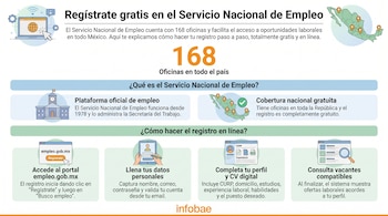 Infografía con laptop, cursor, mapa de México, edificio, teléfono móvil, formularios, lupa y textos explicativos sobre registro en línea.