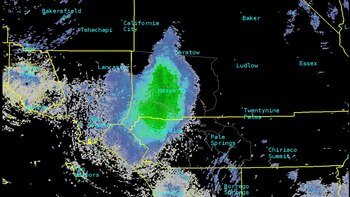 El día que un enjambre