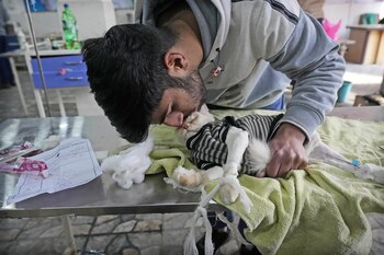 Fazan, un niño de Cachemira,