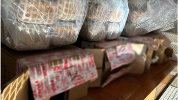 Intenso cateo en Puebla: aseguraron