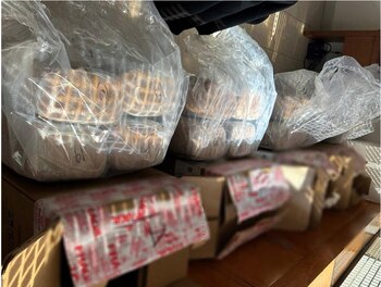 Las acciones se realizaron en