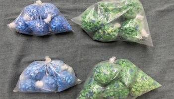 Las autoridades hallaron más de