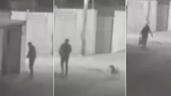 Maltrato animal - Tacna- Perú - 6 de junio