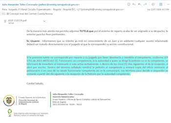 Esta fue la tutela que radicó el concejal José Cuesta Novoa - crédito Concejo de Bogotá