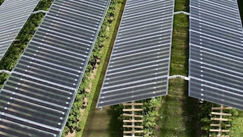 Esta sombra, lejos de ser