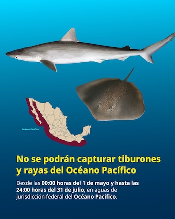 Infografía sobre la veda de pesca