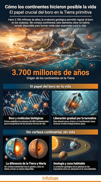 Infografía sobre cómo los continentes permitieron la vida. Muestra la Tierra primitiva con volcanes, el papel del boro, la turmalina, y comparaciones con Marte y la zona habitable.