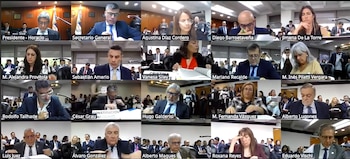 El plenario del Consejo se