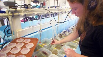 El almacenamiento seguro de etapas