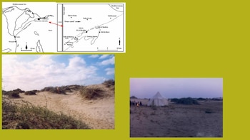 Mapa y paisaje del sitio