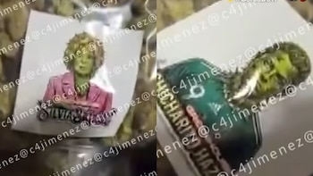 CJNG usaba estampas de ‘El Chicharito’ y Silvia Pinal para marcar droga hallada en la Condesa, CDMX