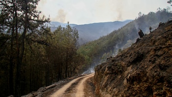EN VIVO | Continúa la emergencia por el incendio forestal en Villa de Leyva: gobernador de Boyacá aseguró que está controlado el 50%