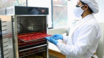 Huancavelica: crean innovador snack a