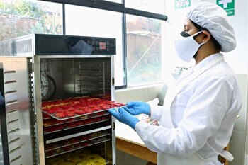 Huancavelica: crean innovador snack a