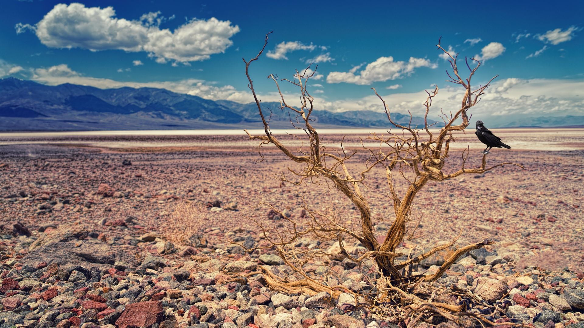 El análisis de la FAO y el PMA identifica tres motores principales de la inseguridad alimentaria aguda: los conflictos armados, las crisis económicas y los eventos climáticos extremos. (Magnific)